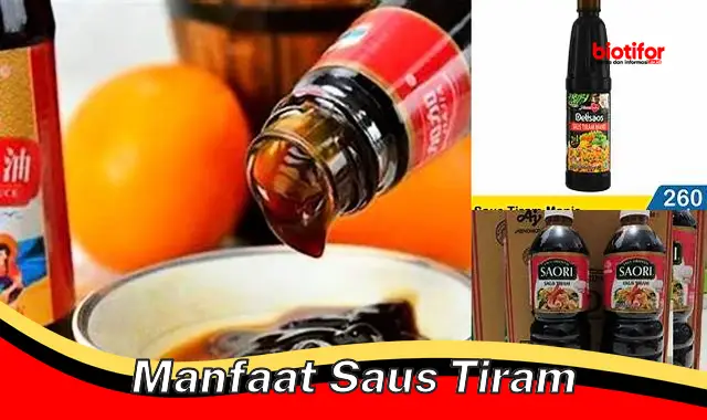 manfaat saus tiram
