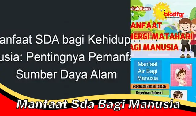 Temukan 5 Manfaat SDA yang Perlu Kamu Tahu