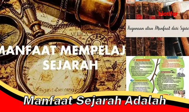 Temukan 5 Manfaat Sejarah Yang Perlu Anda Ketahui