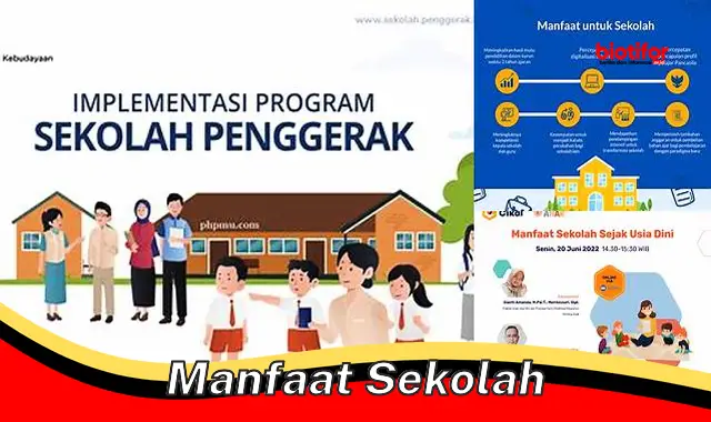 Temukan Rahasia Manfaat Sekolah yang Jarang Diketahui