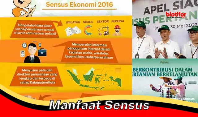 Ungkap 5 Manfaat Sensus yang Jarang Diketahui