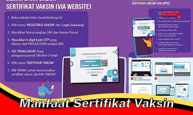 Temukan 5 Manfaat Sertifikat Vaksin yang Jarang Diketahui!