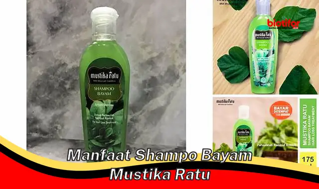 manfaat shampo bayam mustika ratu manfaat shampo bayam mustika ratu