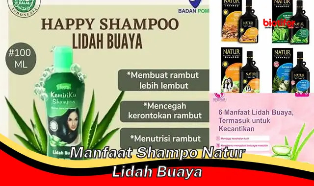 Temukan Manfaat Shampoo Lidah Buaya yang Belum Banyak Diketahui