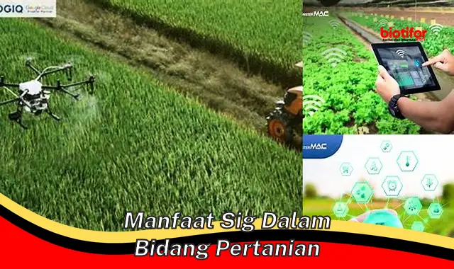 manfaat sig dalam bidang pertanian manfaat sig dalam bidang pertanian