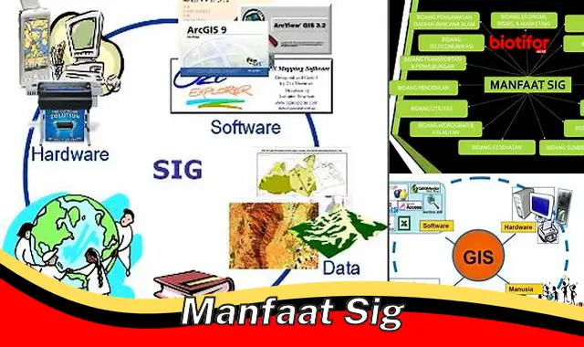 manfaat sig manfaat sig