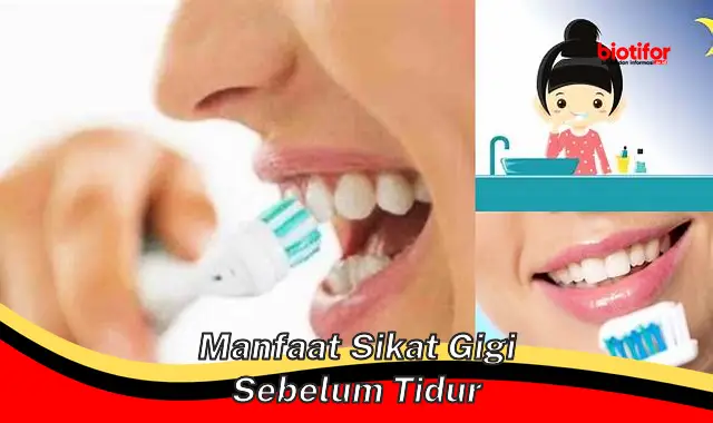 manfaat sikat gigi sebelum tidur manfaat sikat gigi sebelum tidur