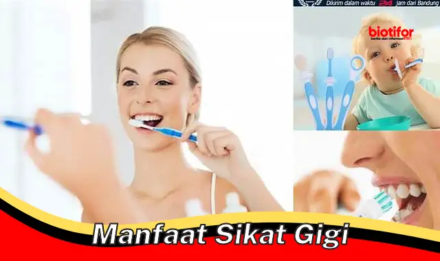 Temukan 5 Manfaat Sikat Gigi yang Jarang Diketahui