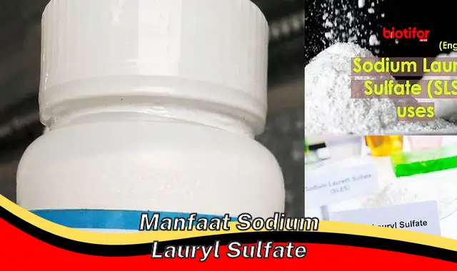 Temukan Manfaat Sodium Lauryl Sulfate yang Jarang Diketahui