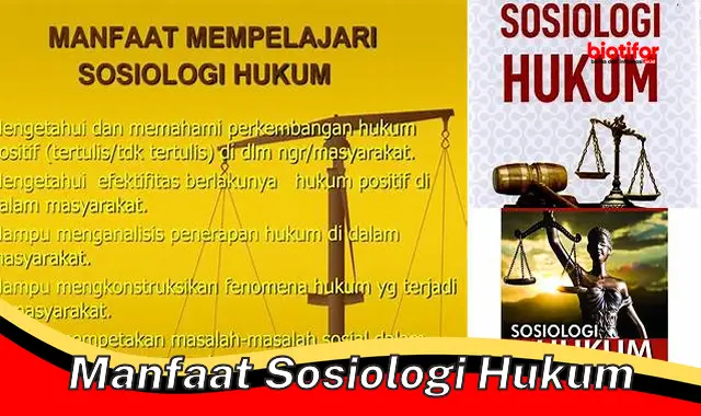manfaat sosiologi hukum manfaat sosiologi hukum