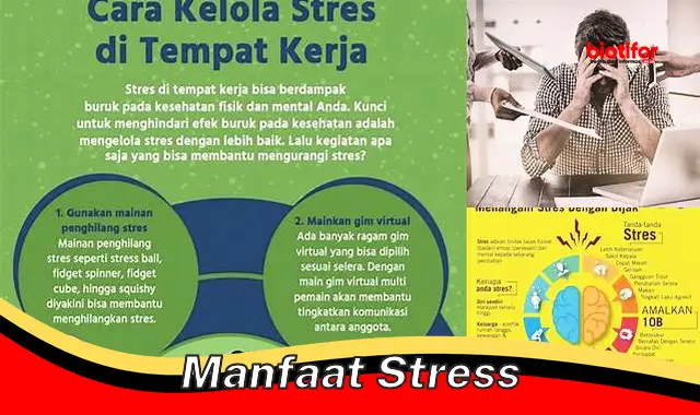 5 Manfaat Stress yang Jarang Diketahui yang Perlu Anda Ketahui