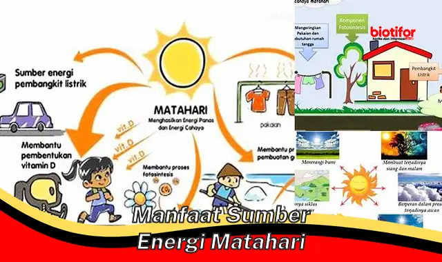 Temukan Manfaat Sumber Energi Matahari yang Jarang Diketahui