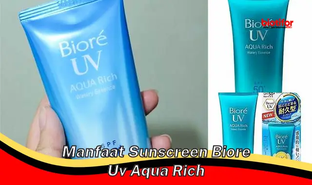 Ungkap Manfaat Sunscreen Biore UV Aqua Rich yang Jarang Diketahui