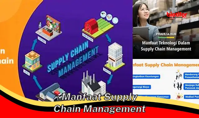 Temukan Manfaat Supply Chain yang Jarang Diketahui