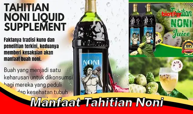 manfaat tahitian noni manfaat tahitian noni