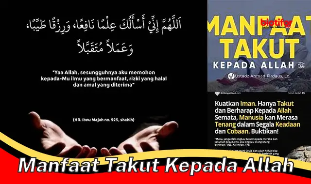 Temukan 5 Manfaat Takut kepada Allah yang Jarang Diketahui