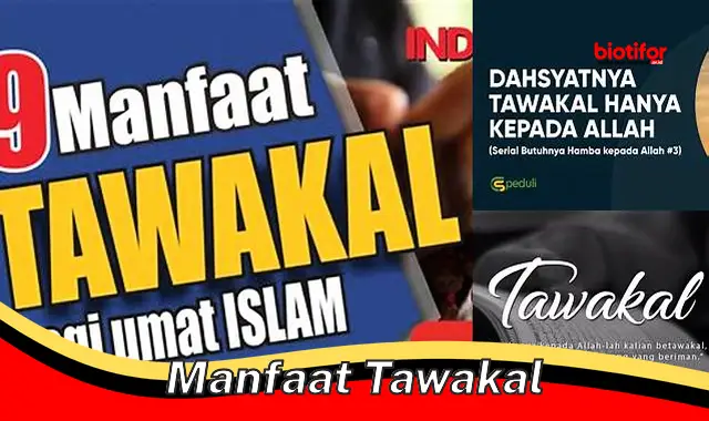 manfaat tawakal manfaat tawakal