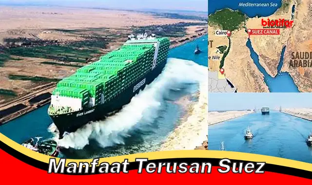 Temukan Manfaat Terusan Suez yang Belum Diketahui