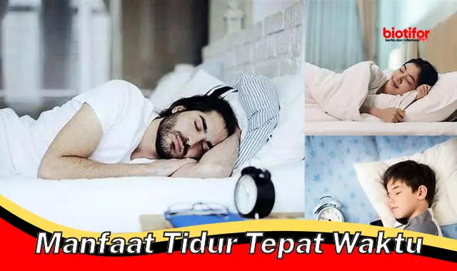 Temukan Manfaat Tidur Tepat Waktu yang Jarang Diketahui