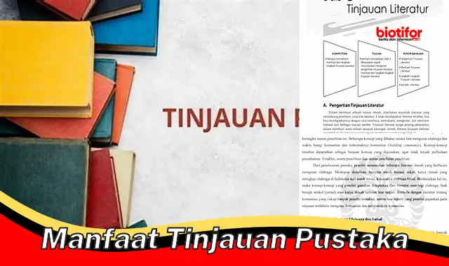 Temukan Manfaat Tinjauan Pustaka yang Jarang Anda Tahu