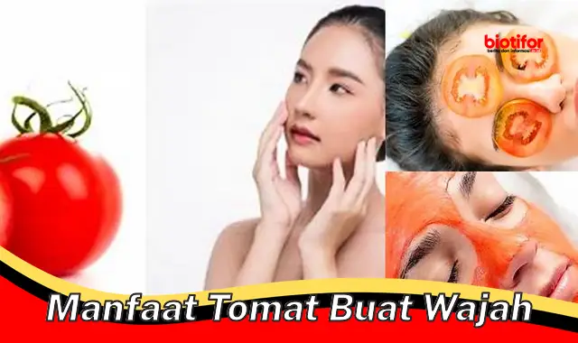 manfaat tomat buat wajah manfaat tomat buat wajah