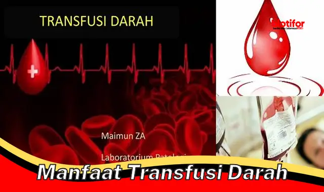 manfaat transfusi darah manfaat transfusi darah