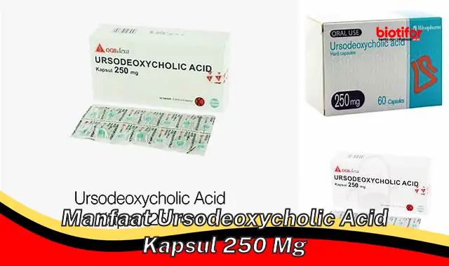Temukan Manfaat Luar Biasa Kapsul Ursodeoxycholic Acid 250 mg yang Jarang Diketahui