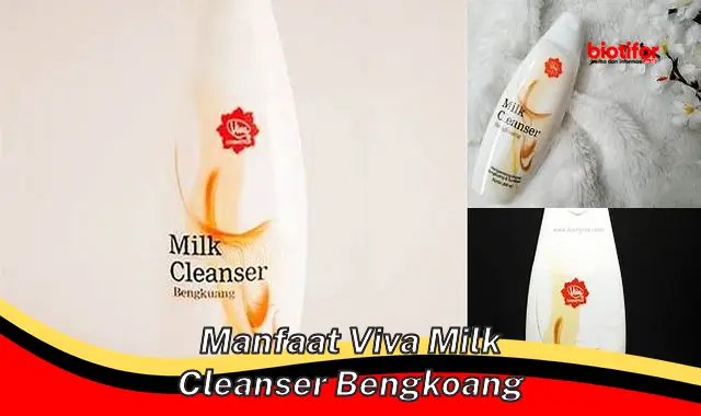 manfaat viva milk cleanser bengkoang manfaat viva milk cleanser bengkoang