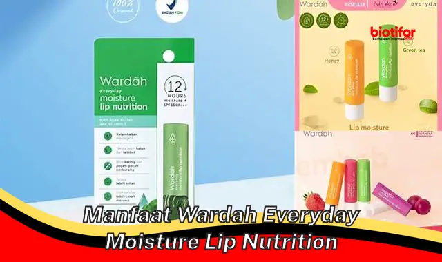 Temukan 5 Manfaat Wardah Everyday Moisture Lip Nutrition yang Perlu Anda Ketahui