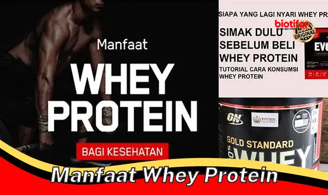 Temukan Rahasia Whey Protein yang Jarang Diketahui