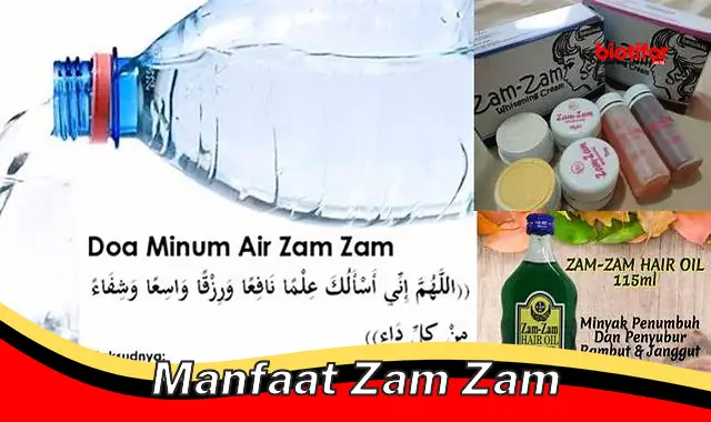 manfaat zam zam manfaat zam zam
