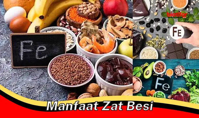 manfaat zat besi manfaat zat besi