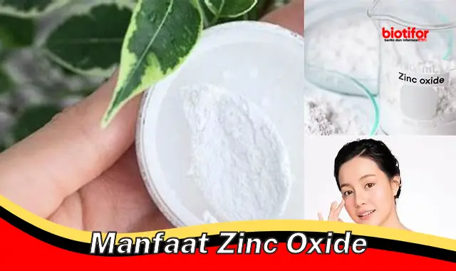 manfaat zinc oxide manfaat zinc oxide