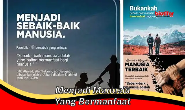 Temukan 5 Manfaat Menjadi Manusia Yang Bermanfaat Yang Perlu Anda Ketahui