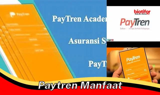 Temukan 5 Manfaat Paytren yang Perlu Anda Ketahui