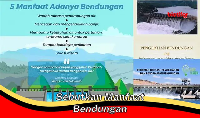 Temukan Manfaat Bendungan yang Belum Banyak Orang Tahu!