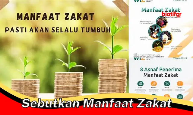 Temukan Manfaat Zakat Yang Perlu Anda Ketahui