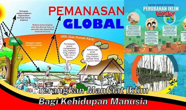 Temukan Manfaat Langka Iklim Bagi Kehidupan Manusia