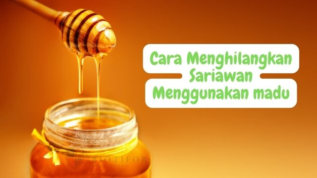 Cara Menghilangkan Sariawan Menggunakan madu