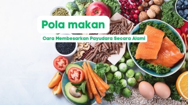 Pola makan