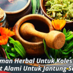 tanaman herbal untuk kolesterol