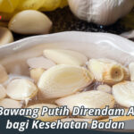 manfaat bawang putih direndam air panas