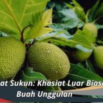 15 Manfaat Sukun: Khasiat Luar Biasa dari Buah Unggulan