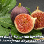 Manfaat Buah Tin