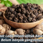 manfaat lada hitam