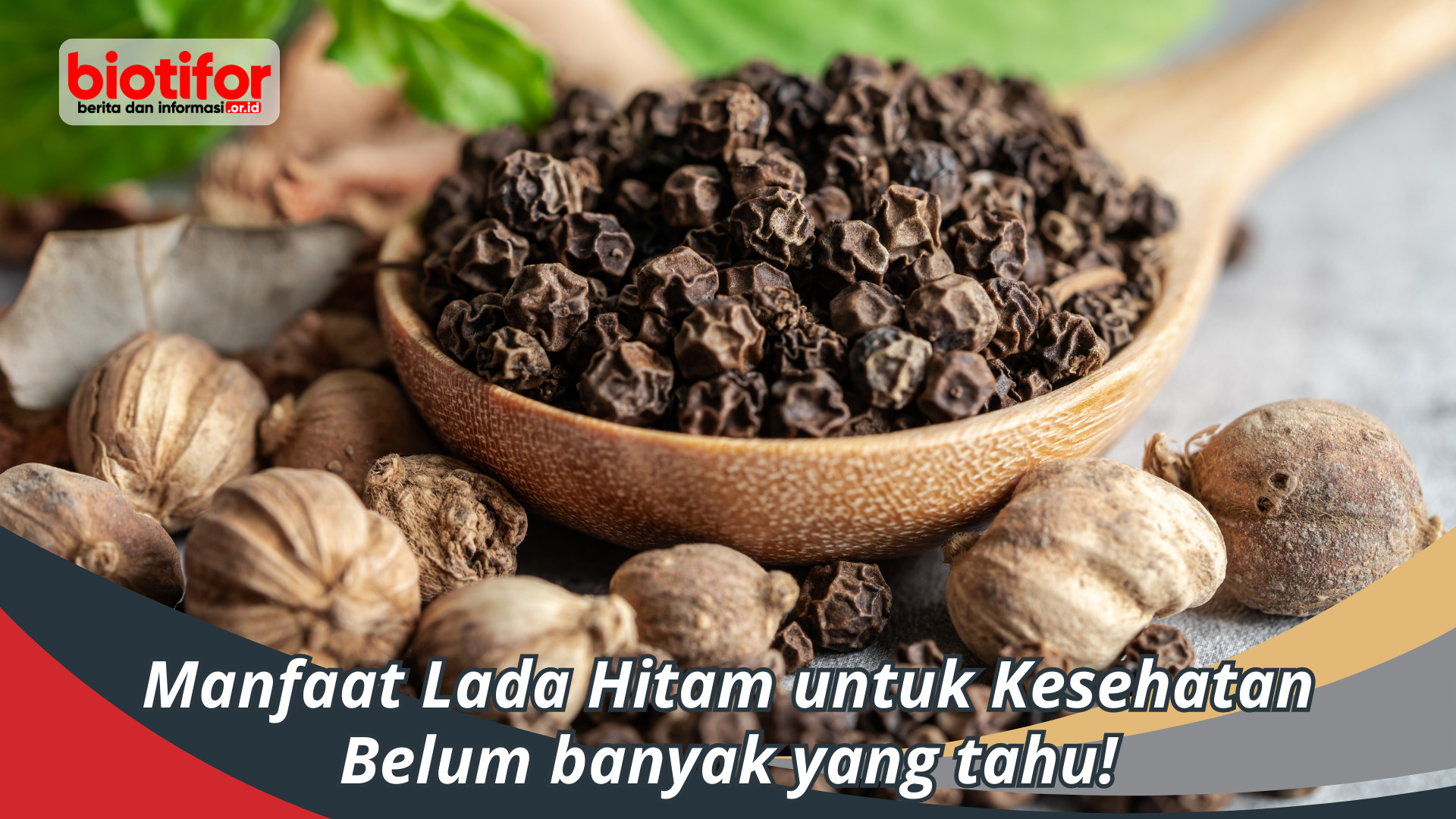 Manfaat Lada Hitam untuk Kesehatan, Belum banyak yang tahu!