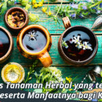 jenis tanaman herbal