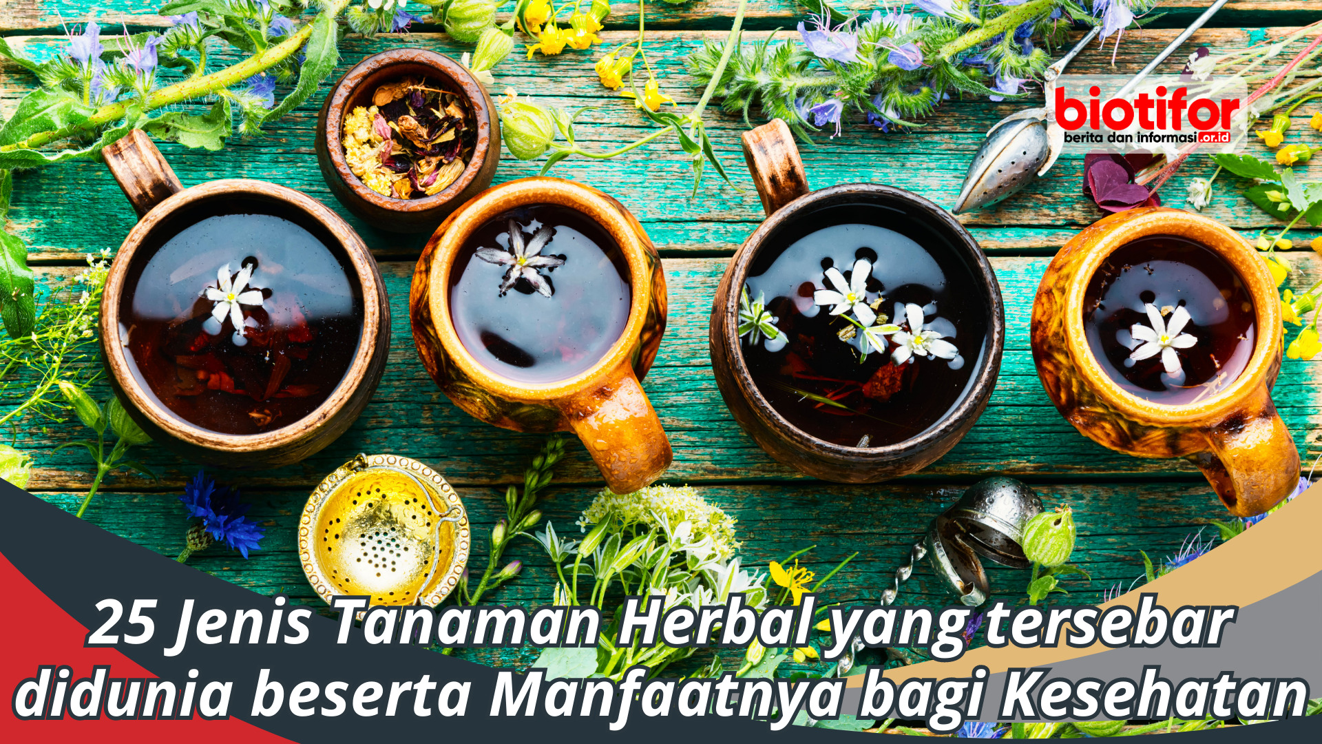 25 Jenis Tanaman Herbal tersebar didunia+Manfaat Kesehatannya