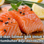 manfaat ikan salmon