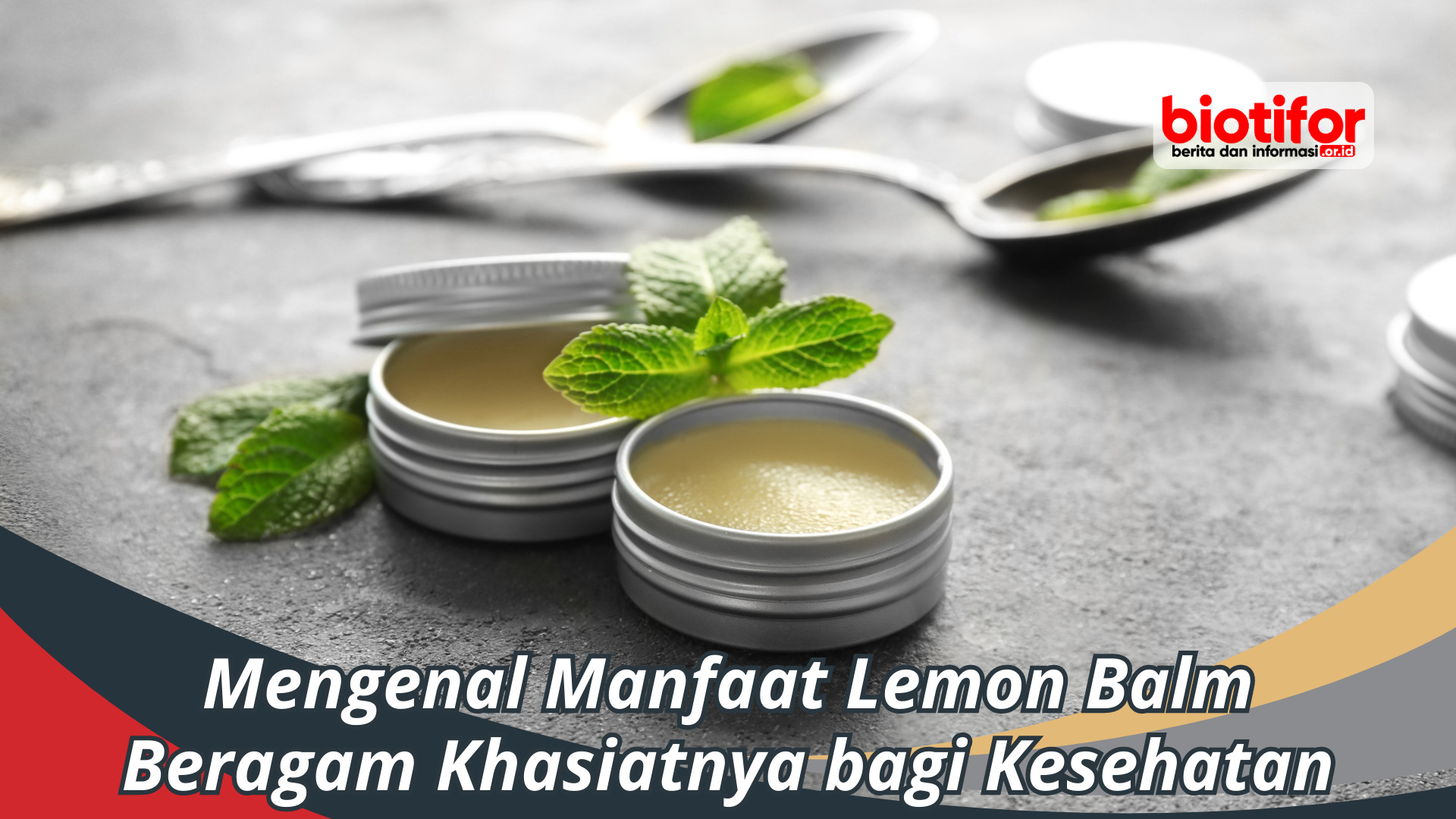 Mengenal Manfaat Lemon Balm: Beragam Khasiat bagi Kesehatan
